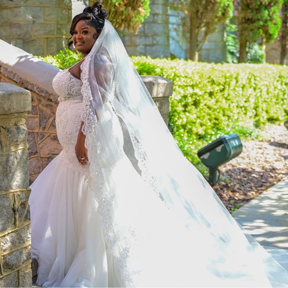 Wedding Dress and Veil